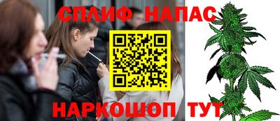 крисы Апшеронск