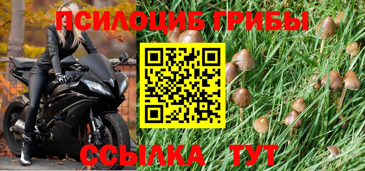 Псилоцибиновые грибы мухоморы  Вход с VPN  Галлюциногенные грибы ЛСД  Владикавказ 