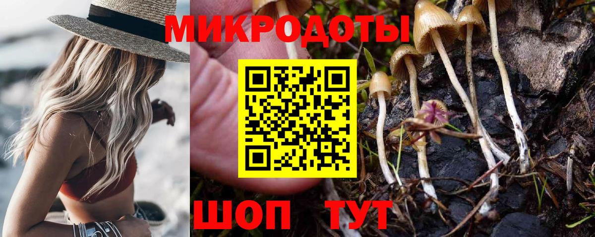 Галлюциногенные грибы прущие грибы Владикавказ